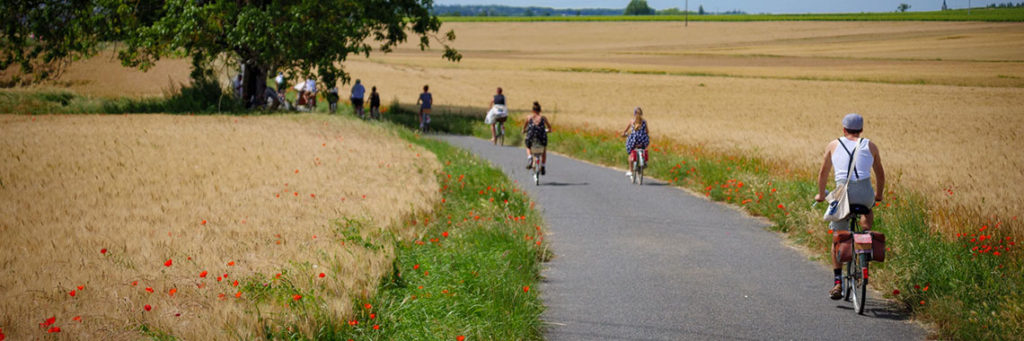 Anjou Velo Vintage